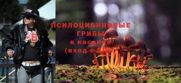 винт Белокуриха