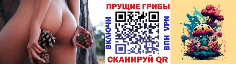 kraken ссылки  Бодайбо  Галлюциногенные грибы Cubensis 